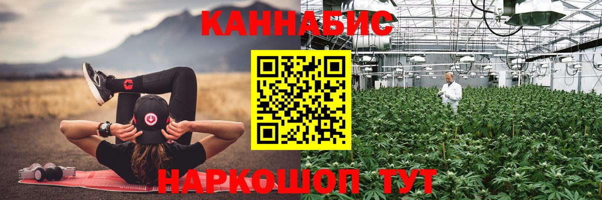 Шишки марихуана конопля Старая Русса